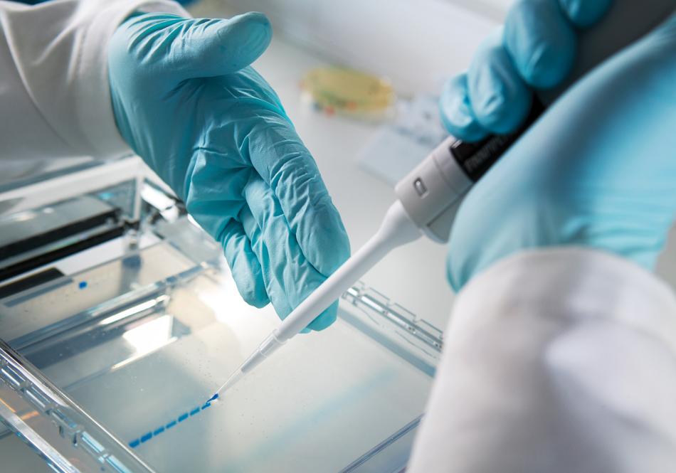 laboratoriotyöskentelyä