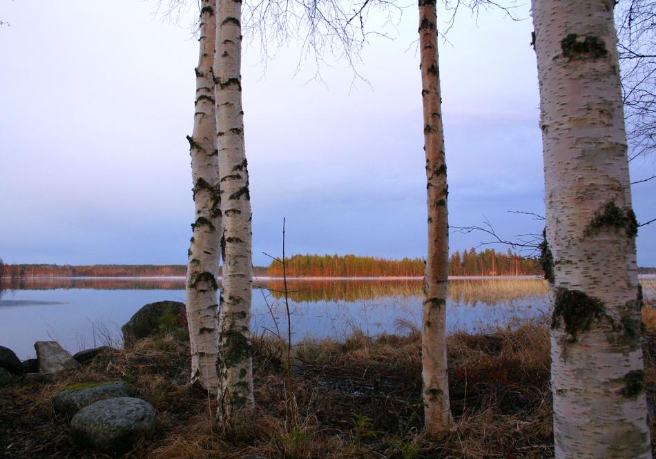 järven rantaa
