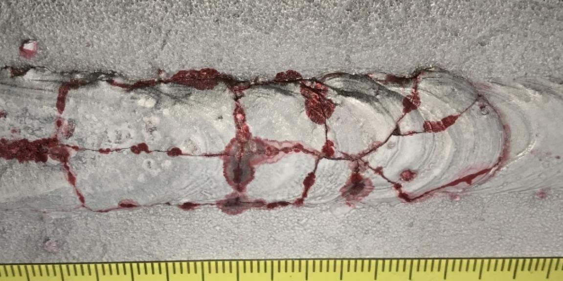 tunkeumanestetarkastus