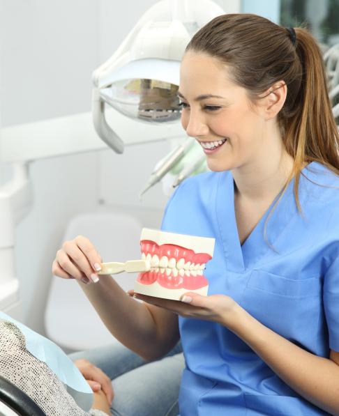 Hammashoitaja neuvoo hampaiden harjauksessa