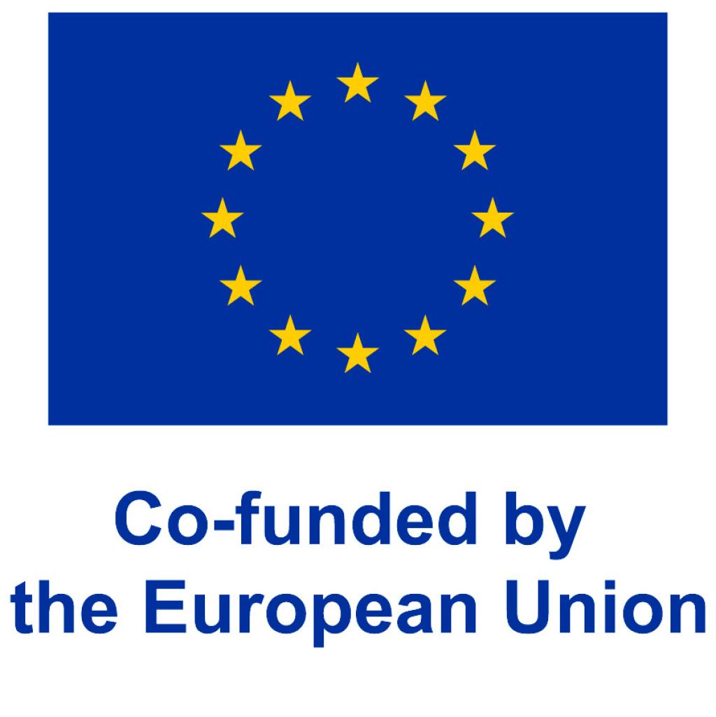 Co-funded by the European Union