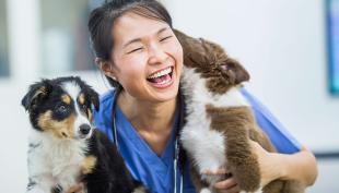 Klinikkaeläinhoitaja kahden koiranpennun kanssa