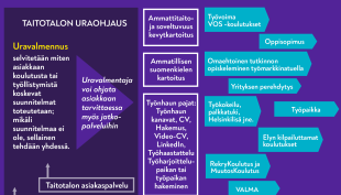 Työllisyyden kuntakokeilu Taitotalossa graafi